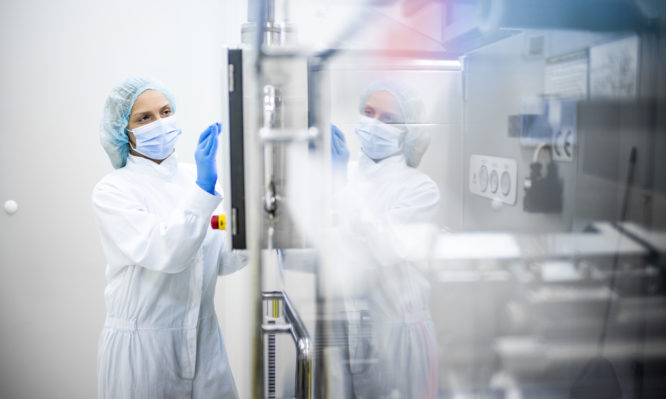 Παπαέλληνας