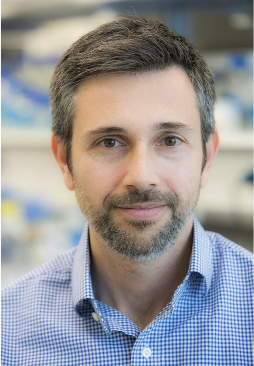 Γιώργος Σκρέτας