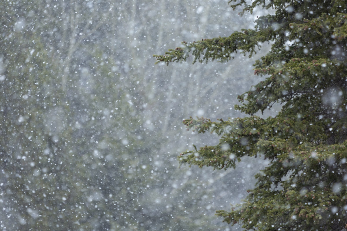 Πολιτική Προστασία