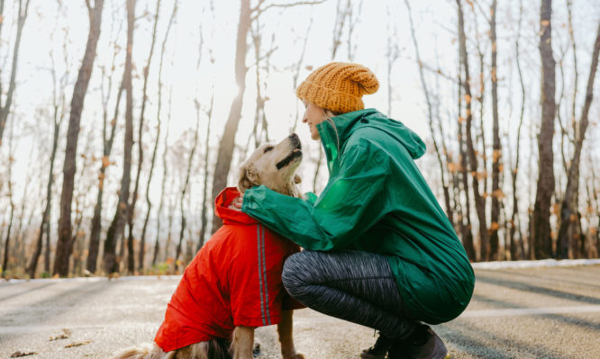 Πώς να κρατήσετε τον σκύλο σας ζεστό και ασφαλή στο κρύο