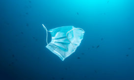 Ενδείξεις αποκλιμάκωσης του επιδημικού κύματος κορονοϊού και γρίπης Α προκύπτουν από τη συστηματική ανάλυση του ιικού τους φορτίου στα αστικά απόβλητα της Θεσσαλονίκης