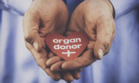 μεταμόσχευση