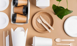 παντοτινά χημικά