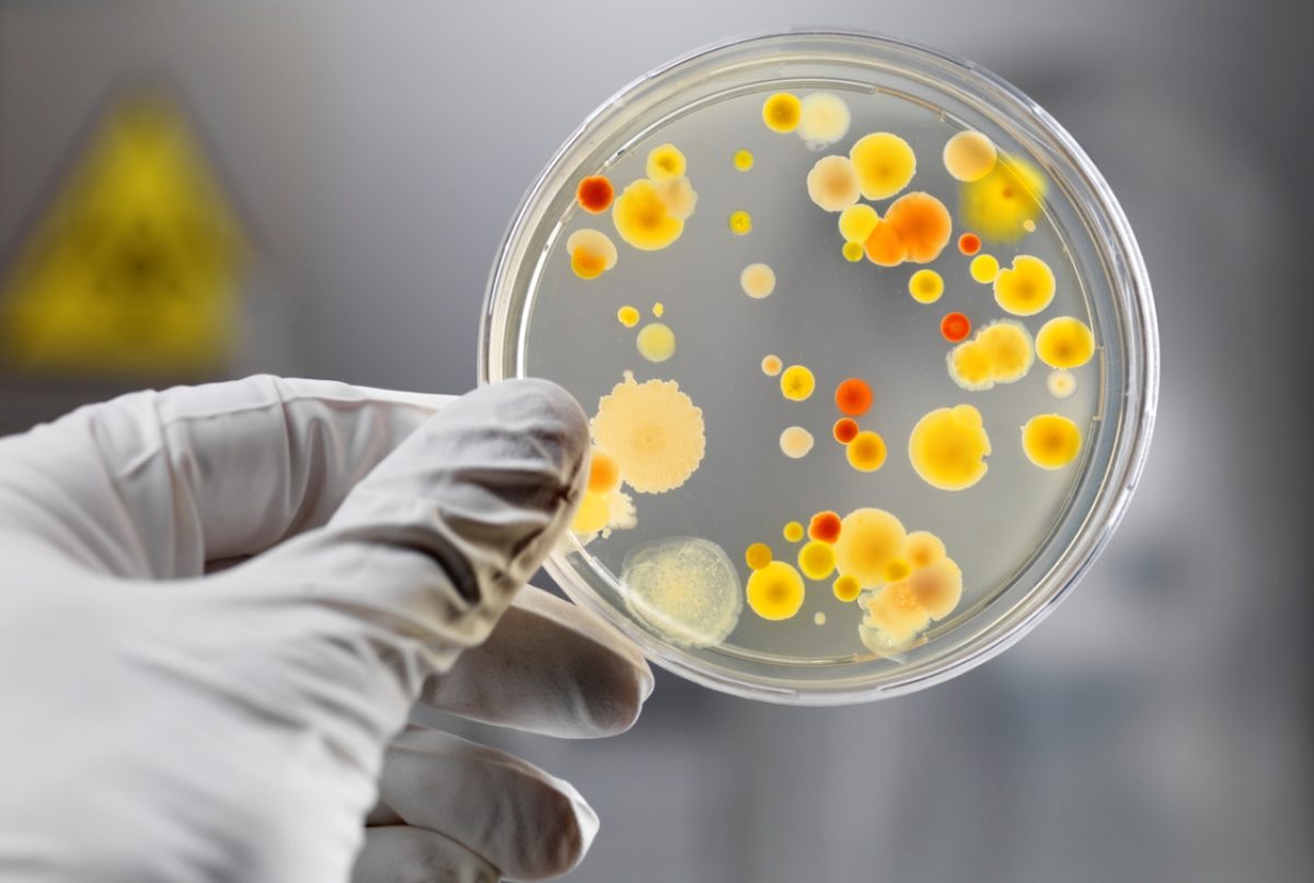 αντιβιοτικό