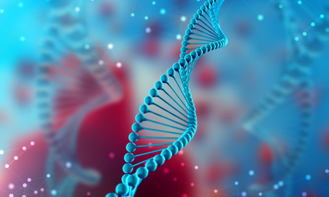 Έρευνα εντόπισε περισσότερες από 275 εκατομμύρια νέες γενετικές παραλλαγές