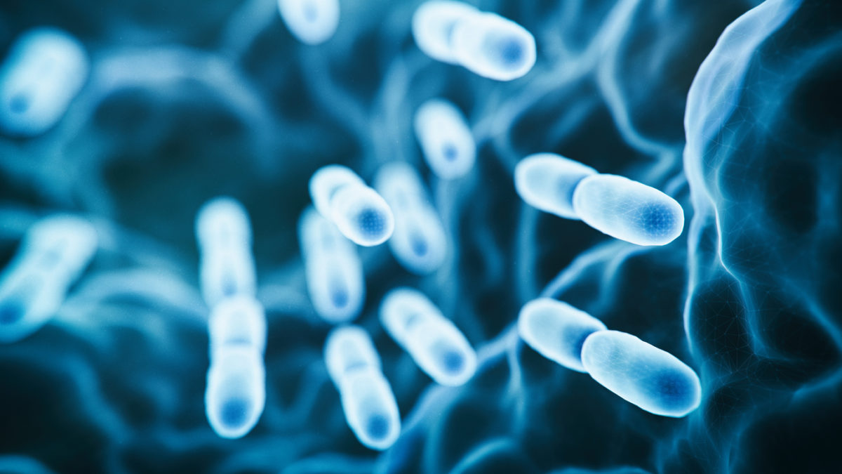 «Καμπανάκι» από τους επιστήμονες για νέο, ανθεκτικό στα φάρμακα E. coli