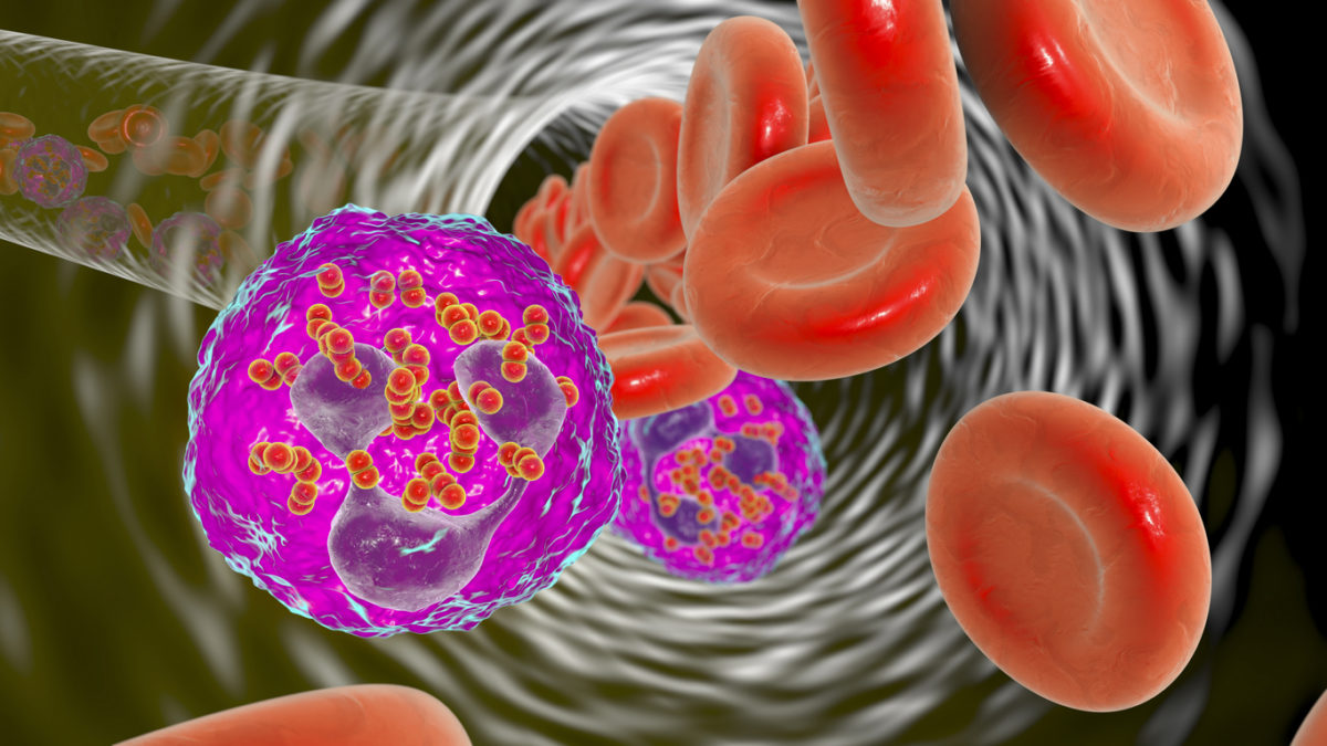 Μηνιγγιτιδοκοκκική νόσος