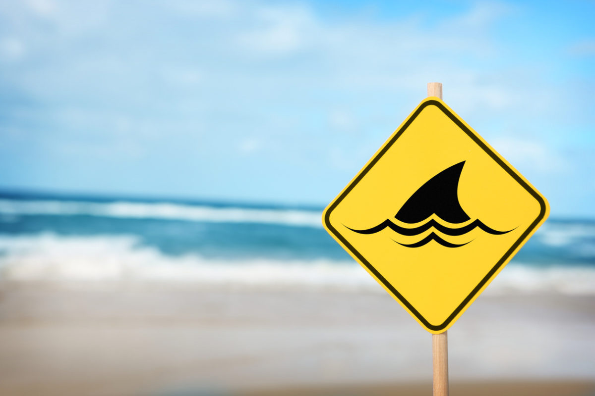Ακτή, προειδοποίηση για καρχαρίες