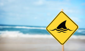 Ακτή, προειδοποίηση για καρχαρίες