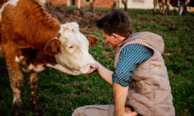 γρίπη των πτηνών