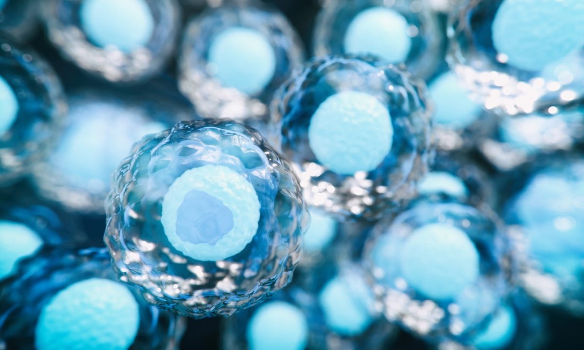 βλαστοκύτταρα