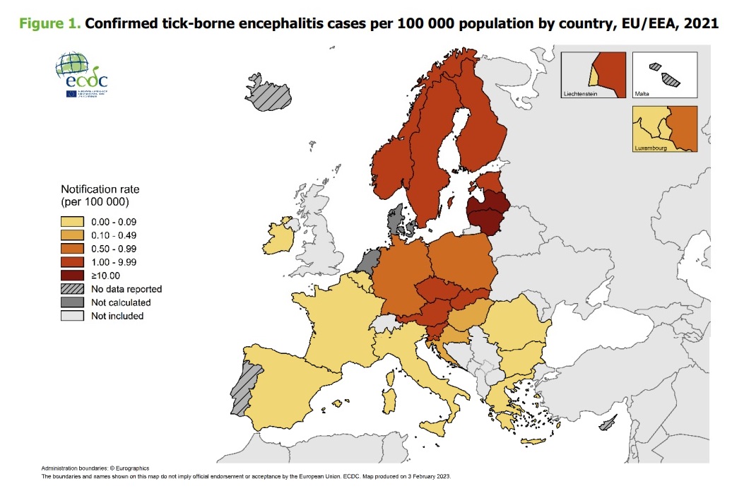 εγκεφαλίτιδα