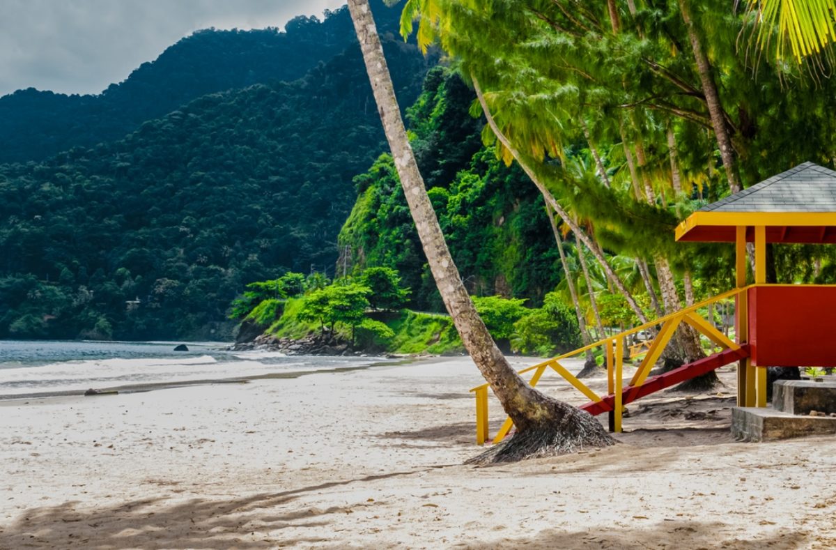 κίτρινος πυρετός