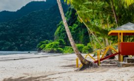 κίτρινος πυρετός