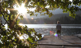 άντρας, φύση. δέντρα. νερό