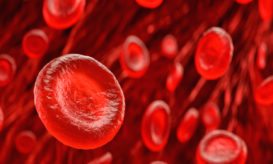 ερυθρά αιμοσφαίρια