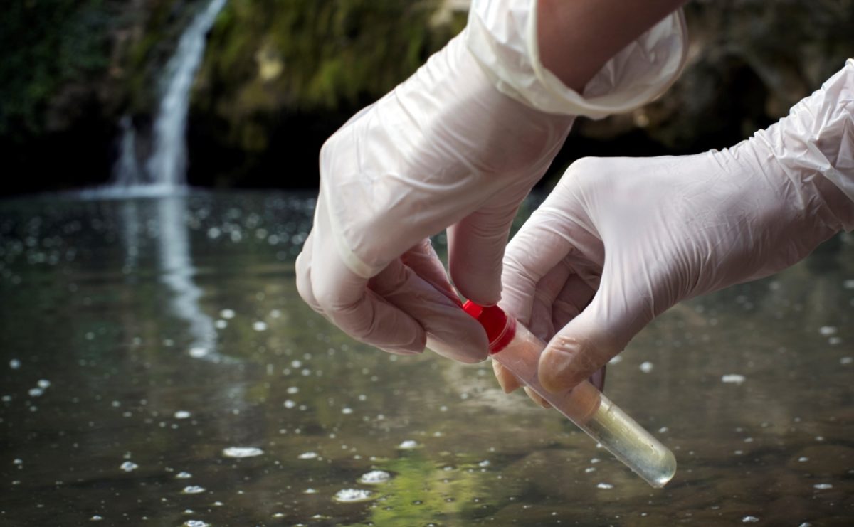 γρίπη των πτηνών