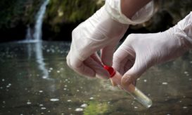 γρίπη των πτηνών