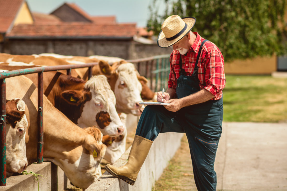 γρίπη των πτηνών