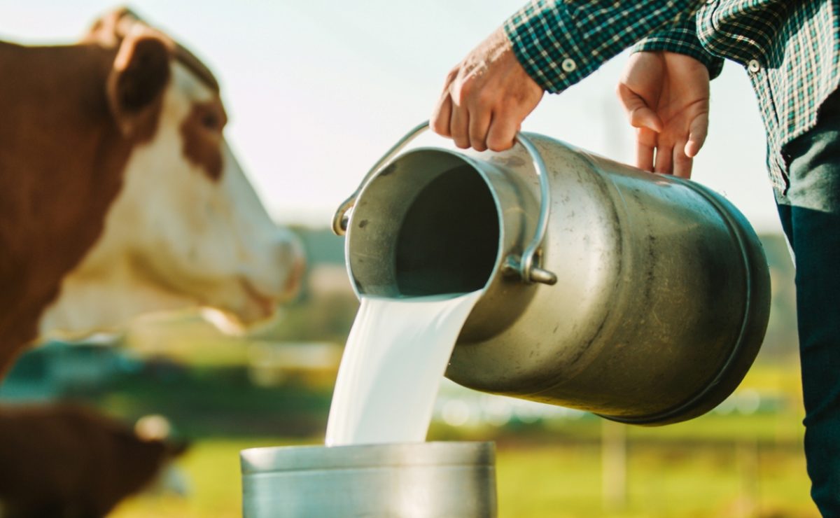 γρίπη των πτηνών