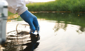 ΕΟΔΥ, σαλμονέλα