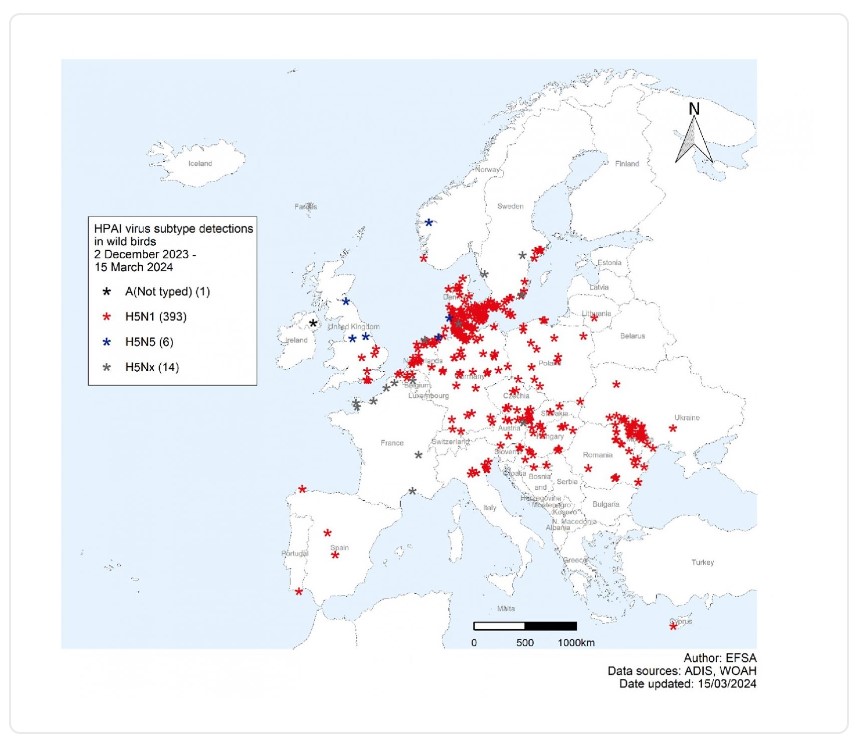 Γρίπη των πτηνών