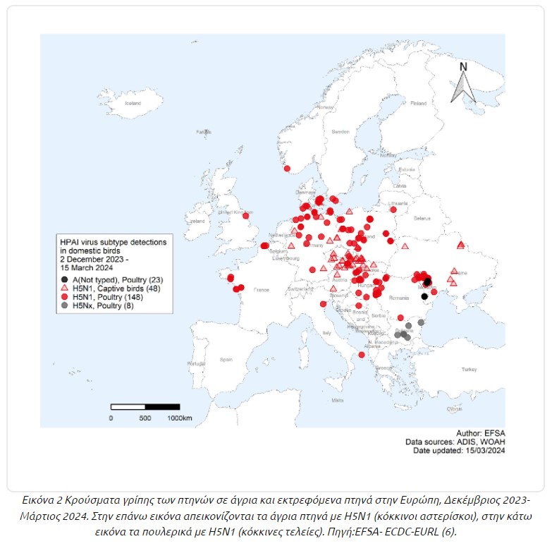 Γρίπη των πτηνών