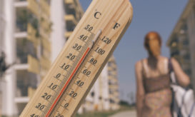 ευπαθείς ομάδες