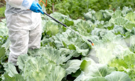 φυτοφάρμακα