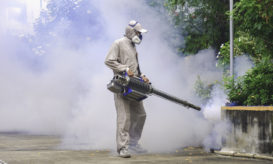 Δάγκειος, ΕΟΔΥ