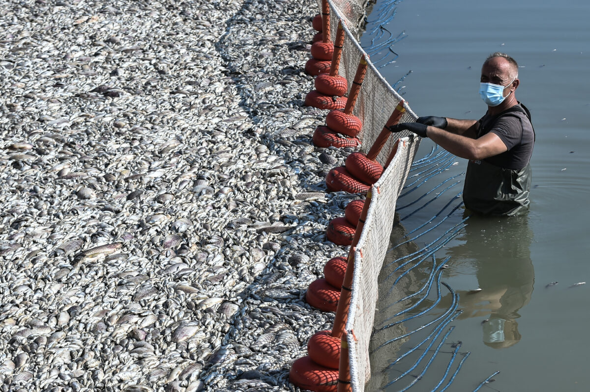 Ιατρικός Σύλλογος Μαγνησίας
