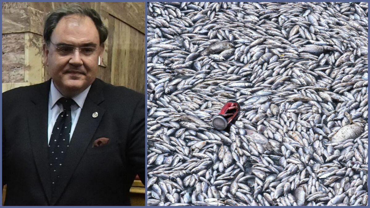 Σαρηγιάννης, ψάρια