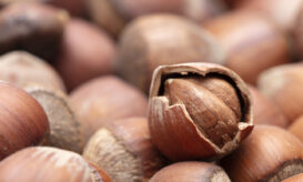Φουντούκια: Νόστιμα, θρεπτικά και με πολλαπλά οφέλη για τον οργανισμό