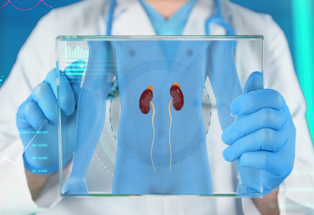 επινεφρίδια