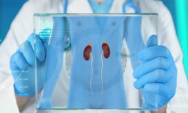 επινεφρίδια