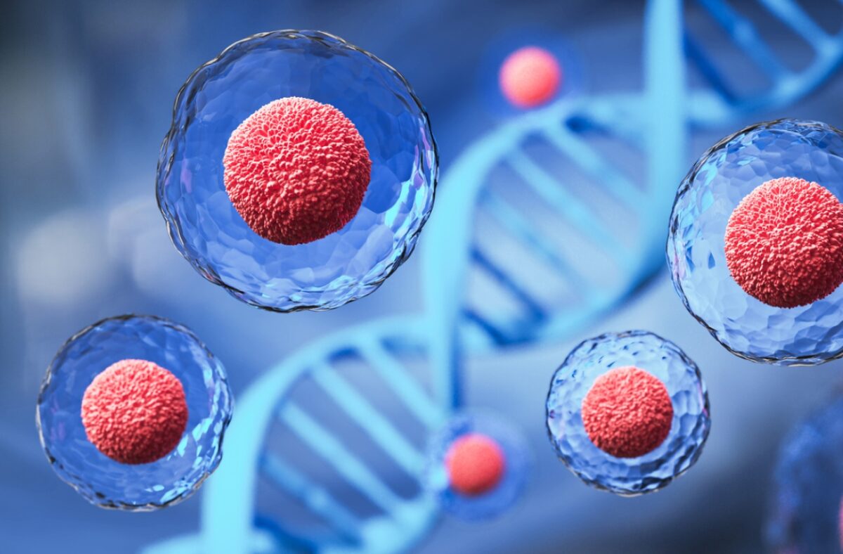 γονιμότητα