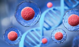 γονιμότητα