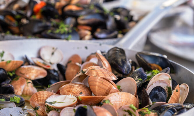 Μύδια, στρείδια, κυδώνια, γυαλιστερές: Τι πρέπει να προσέχετε για ασφαλή κατανάλωση