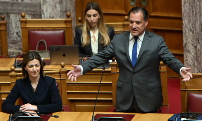 Άδωνις Γεωργιάδης στη Βουλή
