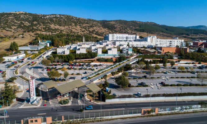 Παπαγεωργίου