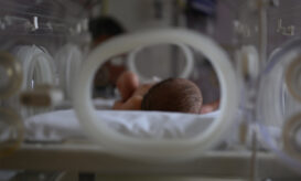 Ο μικρότερος βηματοδότης του κόσμου ενεργοποιείται με φως και είναι μικρότερος από έναν κόκκο ρυζιού