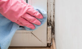 Μούχλα στο σπίτι: Πώς θα την αντιμετωπίσετε για να προλάβετε προβλήματα υγείας