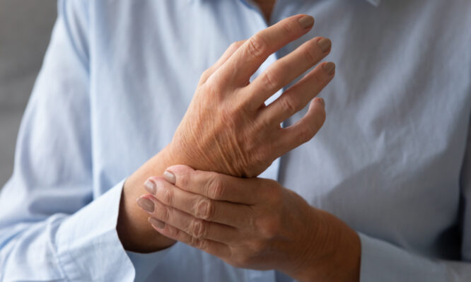 Παγκόσμια Ημέρα Λύκου - Λύκος