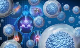 βλαστοκύτταρα