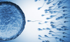 Σπέρμα από δότη με γενετική προδιάθεση για καρκίνο χρησιμοποιήθηκε για τη σύλληψη τουλάχιστον 67 παιδιών σε όλη την Ευρώπη