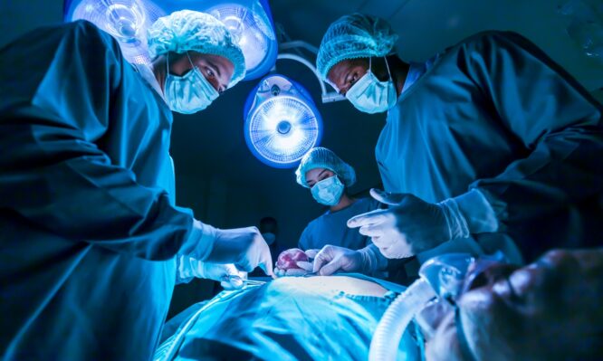 λήψη οργάνων