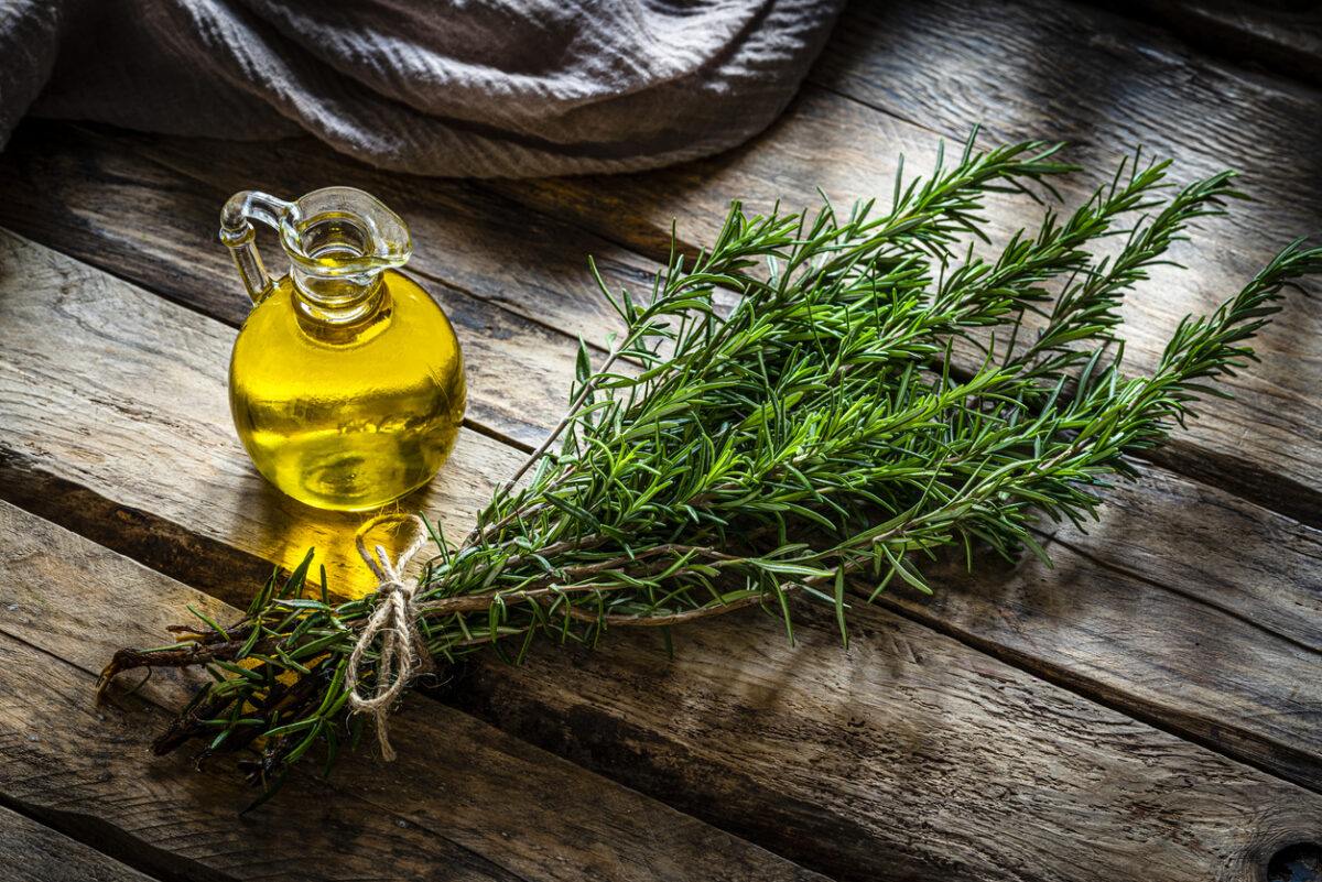 Δεντρολίβανο για καλύτερη μνήμη, λιγότερο άγχος και προστασία από το Αλτσχάιμερ