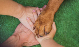 Βέροια: Αστυνομικοί και εργαζόμενοι του νοσοκομείου έσωσαν από βέβαιο θάνατο δυο δηλητηριασμένα σκυλάκια