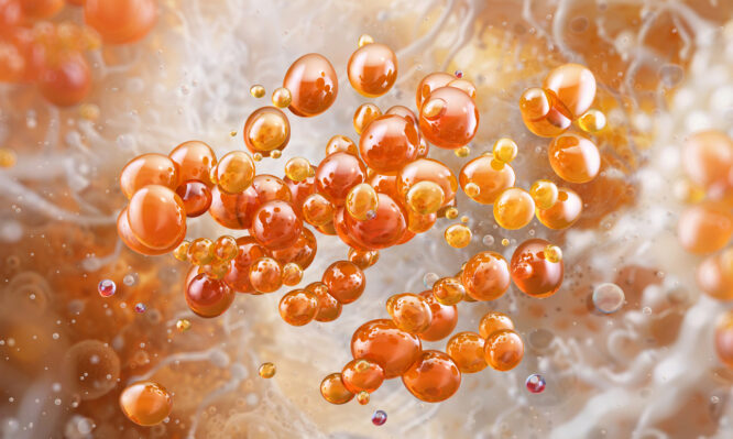 μαγιά μπύρας