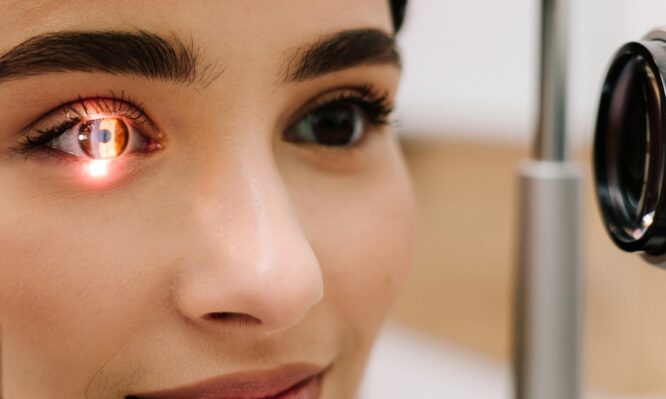 μεταμόσχευση